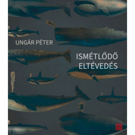 Ungár Péter: Ismétlődő eltévedés