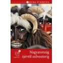 Bede Béla: Magyarország újévtől szilveszterig