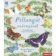 Lauren Fairgrieve: Pillangót szárnyáról - 20 lepkemodell részletes ismertetővel
