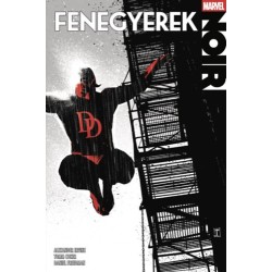 Alexander Irvine: Fenegyerek Noir