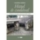 Csanda Mária: Hittel és csodával - Válogatott interjúk, tudósítások 2010-2022