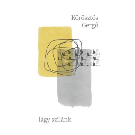 Körösztös Gergő: Lágy szilánk