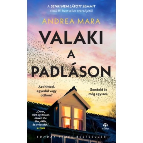 Andrea Mara: Valaki a padláson