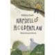 Miklya Zsolt: Napszellő, holdpaplan - Bújócskazsoltárok