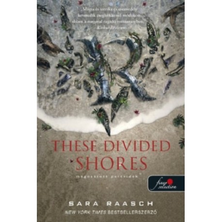 Sarah Raasch: These Divided Shores - Megosztott partvidék - Folyami kalózok 2.