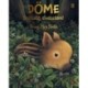 May Briony Smith: Döme - Segítség, elvesztem!