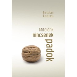 Birtalan Andrea: Mifelénk nincsenek padok