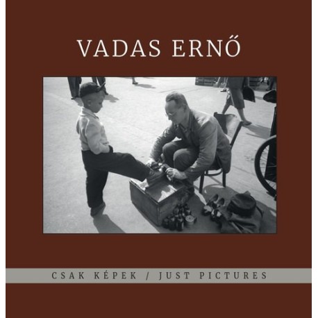 Vadas Ernő