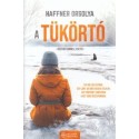 Haffner Orsolya: A Tükörtó