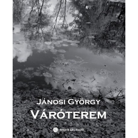 Jánosi György: Váróterem