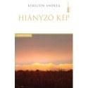 Kerecsen Andrea: Hiányzó kép