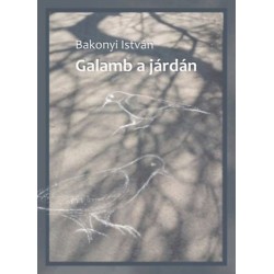 Bakonyi István: Galamb a járdán