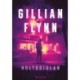 Gillian Flynn: Holtodiglan