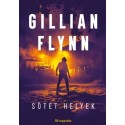 Gillian Flynn: Sötét helyek