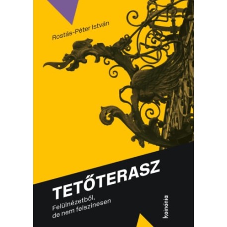 Rostás-Péter István: Tetőterasz