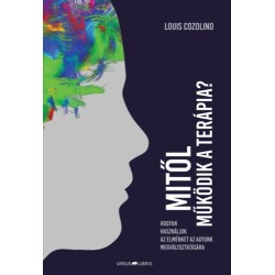 Louis Cozolino: Mitől működik a terápia?