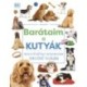 Barátaim, a kutyák