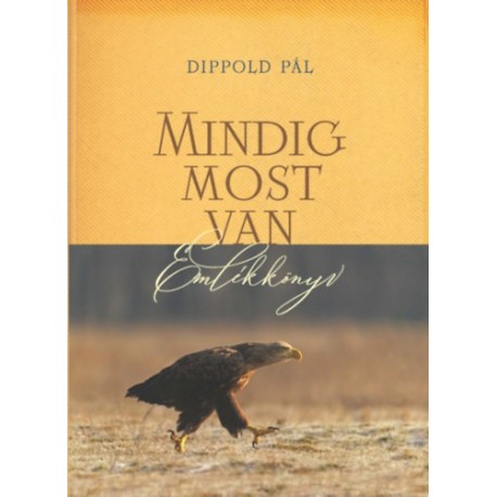 Dippold Pál: Mindig most van