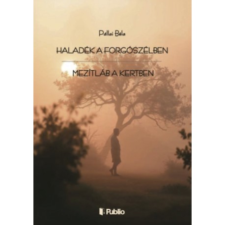 Pállai Béla: Haladék a forgószélben