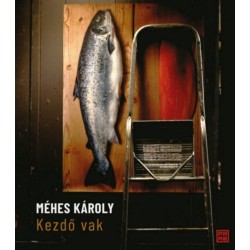Méhes Károly: Kezdő vak