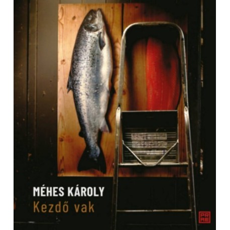 Méhes Károly: Kezdő vak