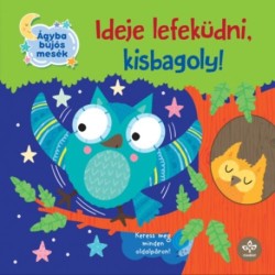 Olivier Dupin: Ideje lefeküdni, kisbagoly!