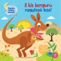Olivier Dupin: A kis kenguru nagytesó lesz!