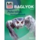 Tanja Brandt: Baglyok - Mi MICSODA ÚJ