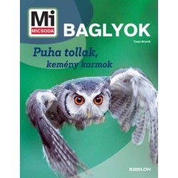 Tanja Brandt: Baglyok - Mi MICSODA ÚJ