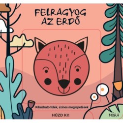 Felragyog az erdő