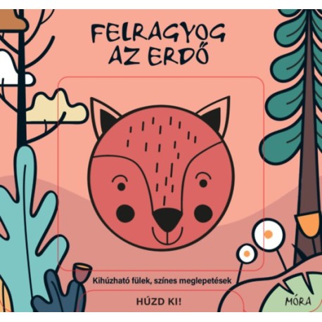 Felragyog az erdő