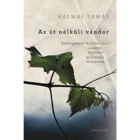 Halmai Tamás: Az út nélküli vándor