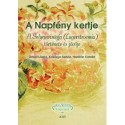 Orlóci László, Horotán Katalin, Kisvarga Szilvia: A Napfény kertje