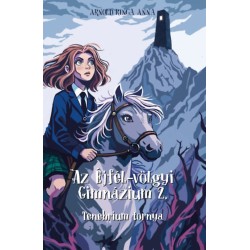 Arnold Kinga Anna: Az Éjfél-völgyi Gimnázium 2.