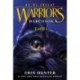 Warriors - Harcosok 2/1.