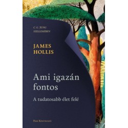 James Hollis: Ami igazán fontos