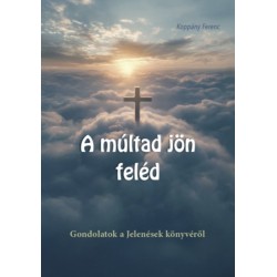 Koppány Ferenc: A múltad jön feléd