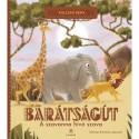 Kulcsár Rena: Barátságút