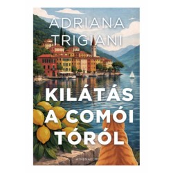 Adriana Trigiani: Kilátás a Comói-tóról