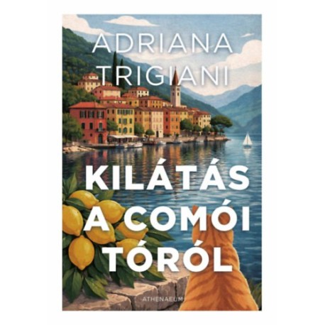 Adriana Trigiani: Kilátás a Comói-tóról