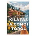 Adriana Trigiani: Kilátás a Comói-tóról