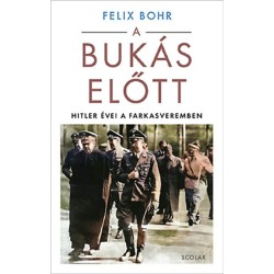 Felix Bohr: A bukás előtt
