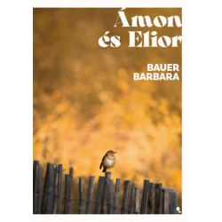 Bauer Barbara: Ámon és Elior