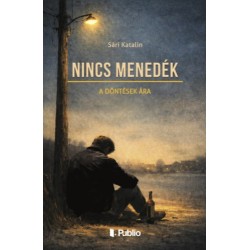 Sári Katalin: Nincs menedék