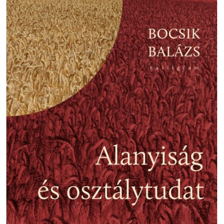 Bocsik Balázs: Alanyiság és osztálytudat