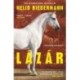 Nelio Biedermann: Lázár