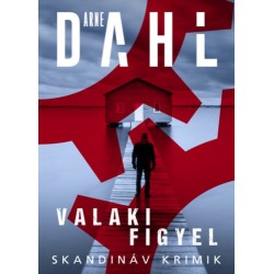 Arne Dahl: Valaki figyel