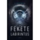 N. Nagy Zoltán: Fekete labirintus