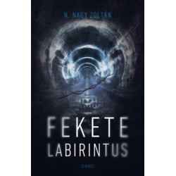 N. Nagy Zoltán: Fekete labirintus