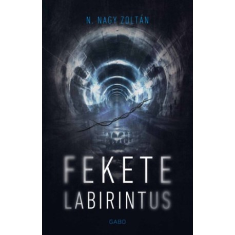 N. Nagy Zoltán: Fekete labirintus